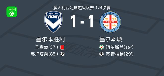 他们打算通